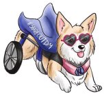 #SHADEOUTDM