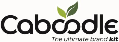 CABOODLE THE ULTIMATE BRAND KIT