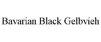 BAVARIAN BLACK GELBVIEH