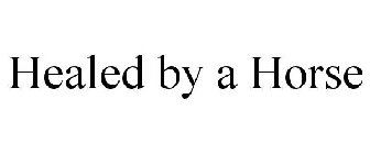 HEALED BY A HORSE