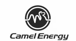 CAMEL ENERGY