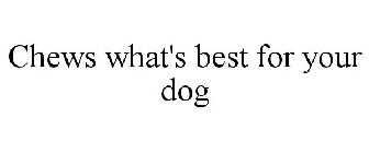 CHEWS WHAT'S BEST FOR YOUR DOG