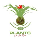 PLANTS KNOTS AND MORE