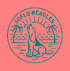 SOFLO BEAGLES