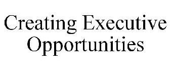 CREATING EXECUTIVE OPPORTUNITIES