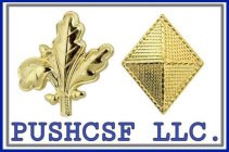 PUSHCSF LLC.