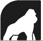 Image Trademark