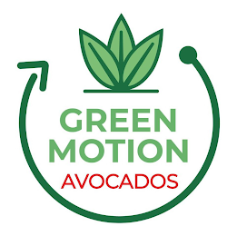 GREEN MOTION AVOCADOS