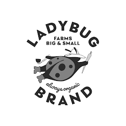 LADYBUG BRAND FARMS BIG & SMALL ALWAYS ORGANIC