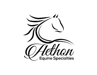 AETHON EQUINE SPECIALTIES