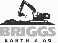 BRIGGS EARTH & AG
