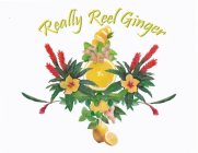 REALLY REEL GINGER