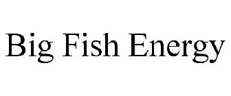BIG FISH ENERGY