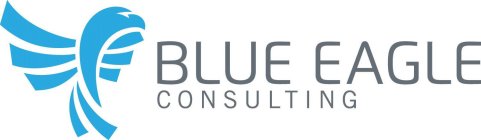 BLUE EAGLE CONSULTING