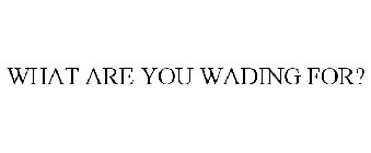 WHAT ARE YOU WADING FOR?
