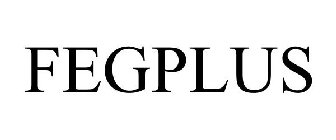 FEGPLUS
