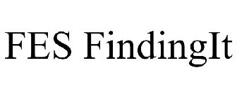 FES FINDINGIT