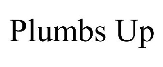 PLUMBS UP
