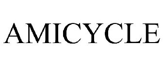 AMICYCLE