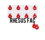 RHESUS FAC O+ O- A- A+ B- B+ AB- AB+ - +