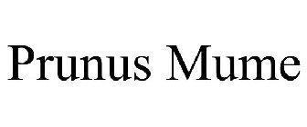 PRUNUS MUME