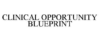 CLINICAL OPPORTUNITY BLUEPRINT