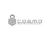 C.O.S.M.O BRINGING ORDER TO CYBER OPERATIONS