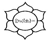 ( (TY )5 )