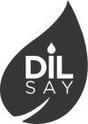 DIL SAY