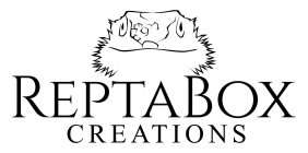 REPTABOX CREATIONS