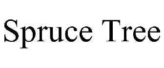 SPRUCE TREE