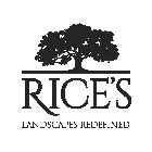 RICE'S LANDSCAPES REDEFINED