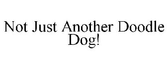 NOT JUST ANOTHER DOODLE DOG!