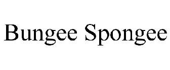 BUNGEE SPONGEE