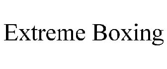 EXTREME BOXING