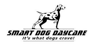 SMART DOG DAYCARE IT'S WHAT DOGS CRAVE!