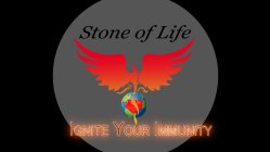 STONE OF LIFE IGNITE YOUR IMMUNITY