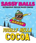 SASSY BALLS SASSY OUTRAGEOUS PROTEIN PACKED SNACKS TOTALLY HELLA COCO SB