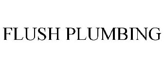 FLUSH PLUMBING