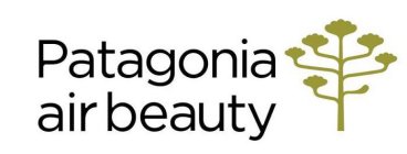 PATAGONIA AIR BEAUTY