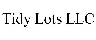 TIDY LOTS LLC