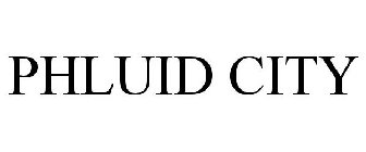 PHLUID CITY
