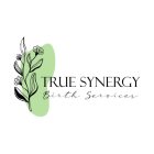 TRUE SYNERGY BIRTH SERVICES