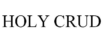 HOLY CRUD