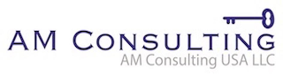 AM CONSULTING AM CONSULTING USA LLC
