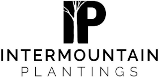 IP, INTERMOUNTAIN, PLANTINGS