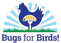 BUGS FOR BIRDS!