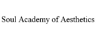 SOUL ACADEMY OF AESTHETICS