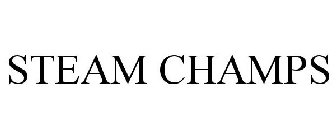 S.T.E.A.M. CHAMPS