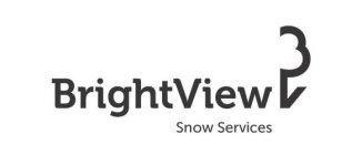 BRIGHTVIEW, SNOW, SERVICES, B, V